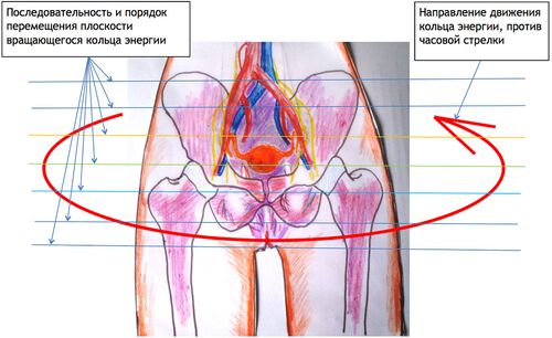 Упражнение, укрепляющее женскую силу