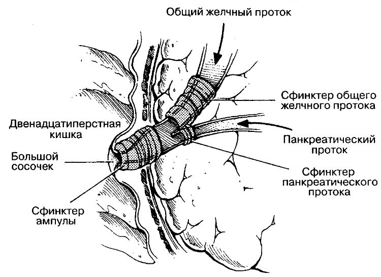 Клапан одди где находится