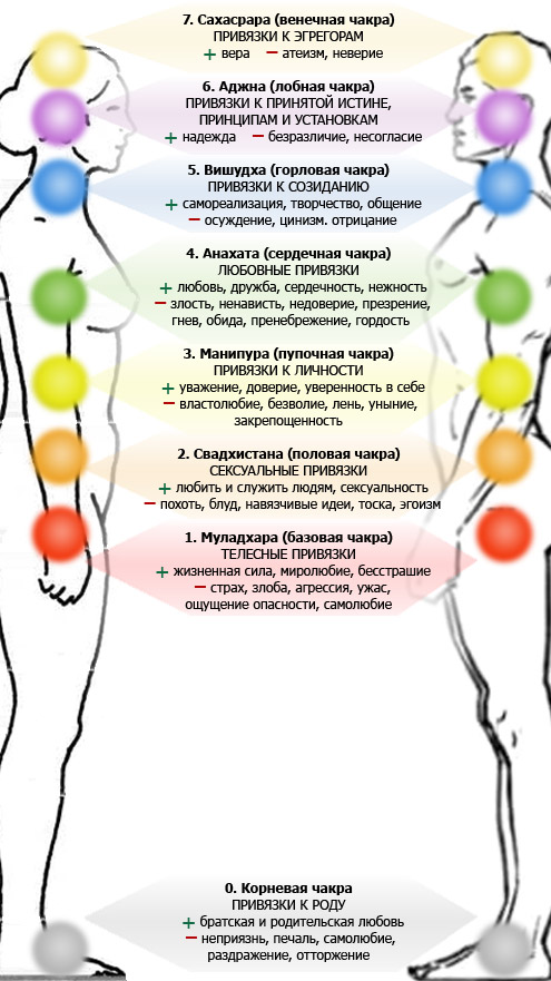 Рис. 2. Привязки между людьми на уровне энергетических центров